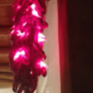 Meet your Posher, Luanne